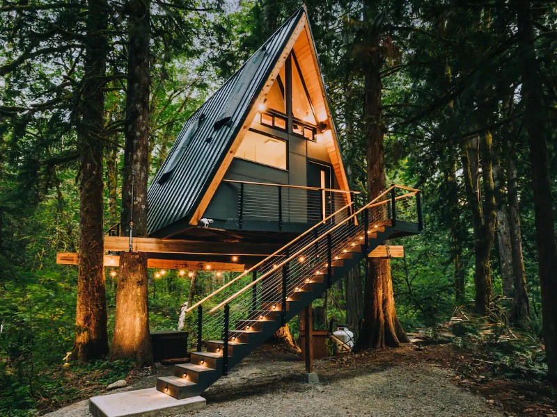 The Treeframe Cabin 