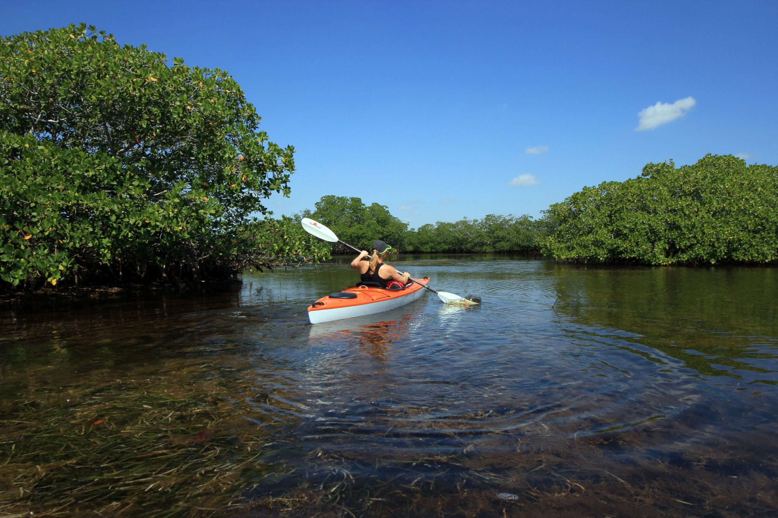  Biscayne National Park