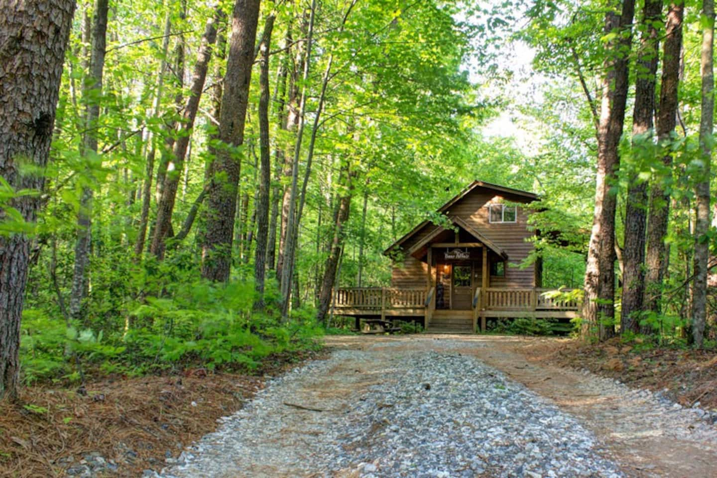 Bear Affair Cabin