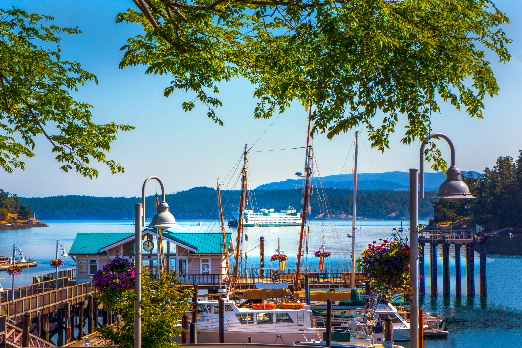 Friday Harbor marina and passenger ferry terminal, San Juan Island