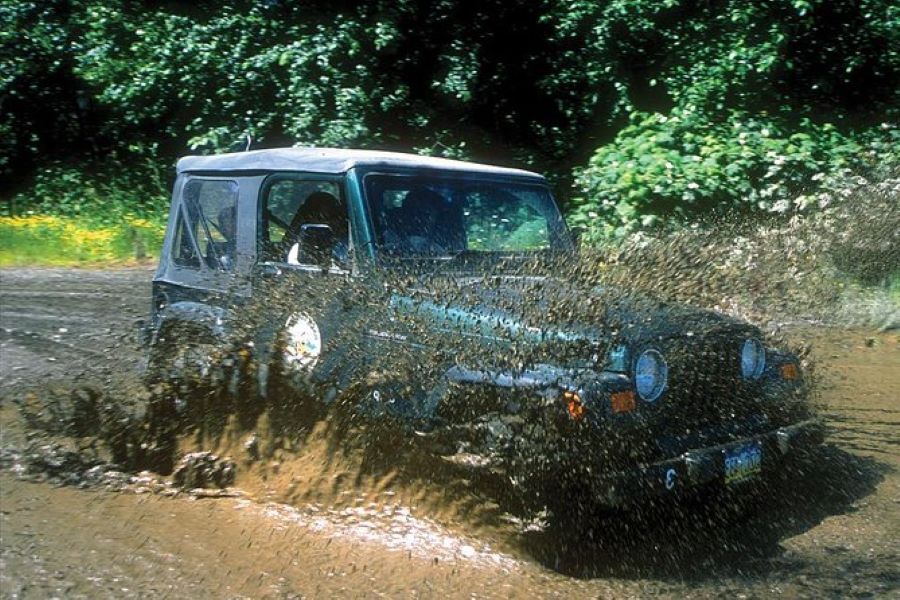 Jeep and Canoe Tour in Ketchikan