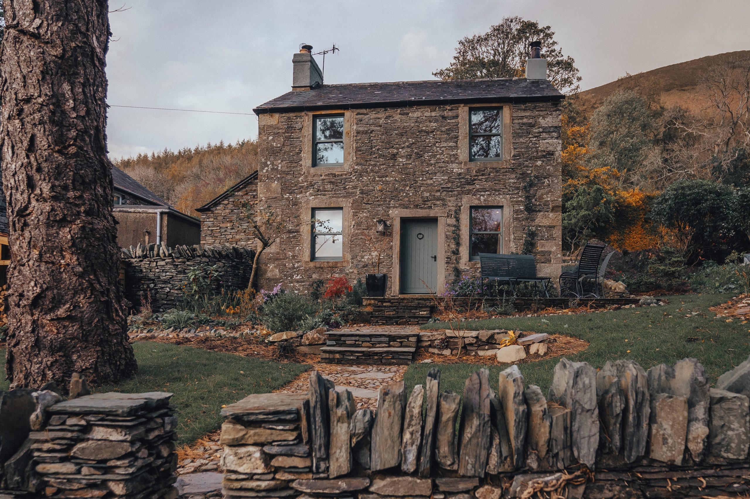 Exterior of boutique cottage surrounded by forest