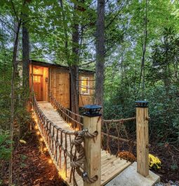 bridge leading to luxurious treehouse