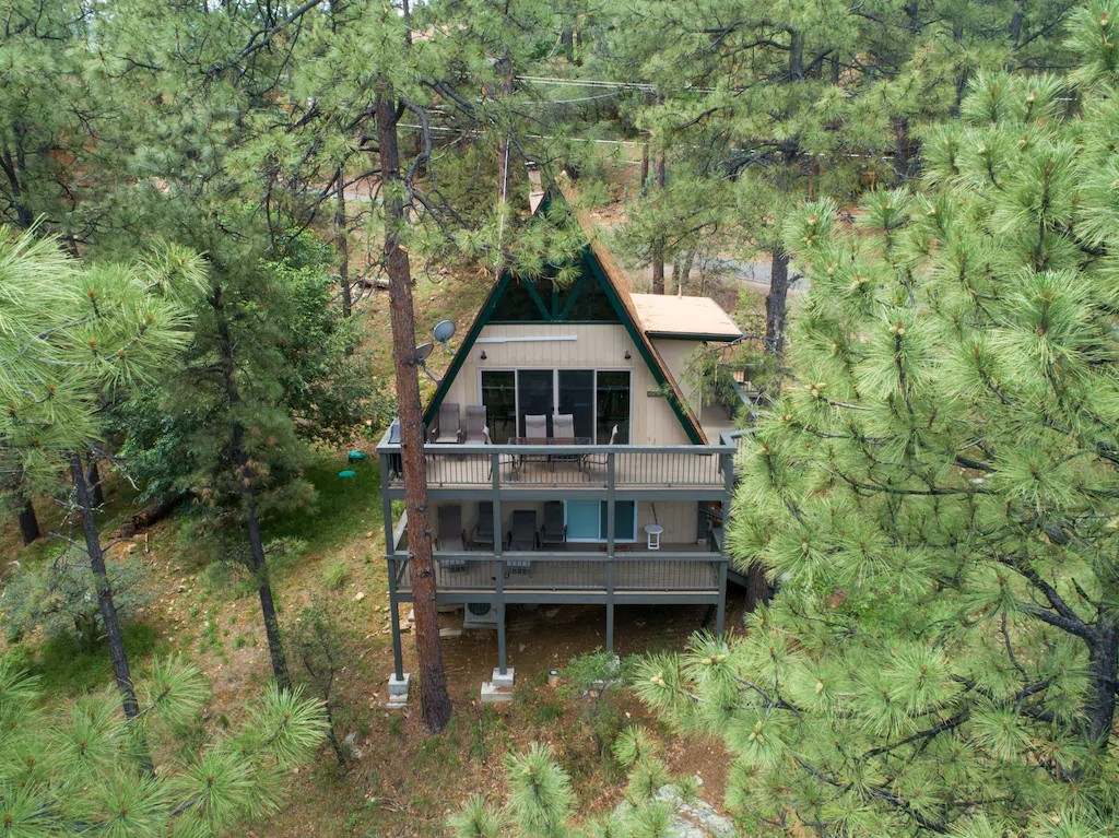 Ideal Cabin Experience Set Among Tall Ponderosa Pine Trees
