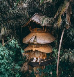 Moody shot of three storey Aura House in the middle of the jungle