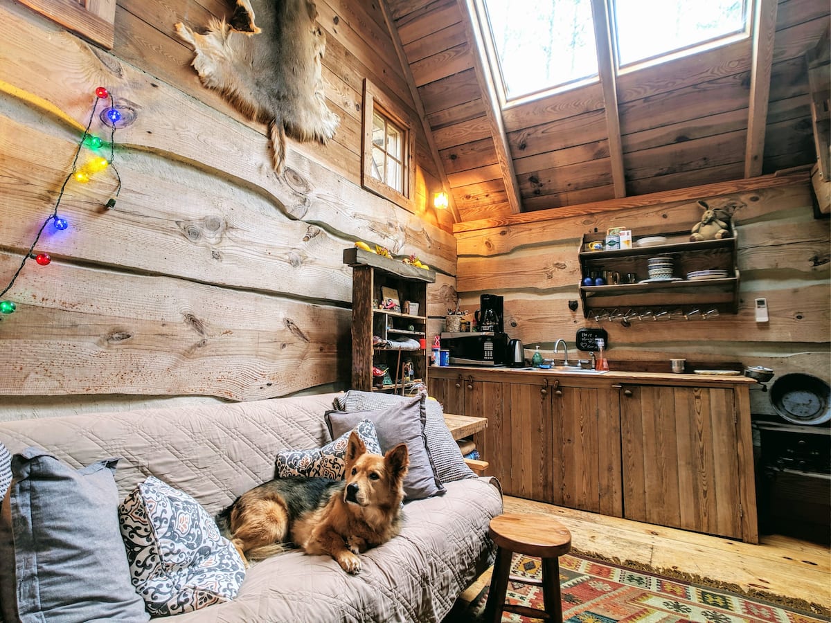 Private Tiny Home in the Woods