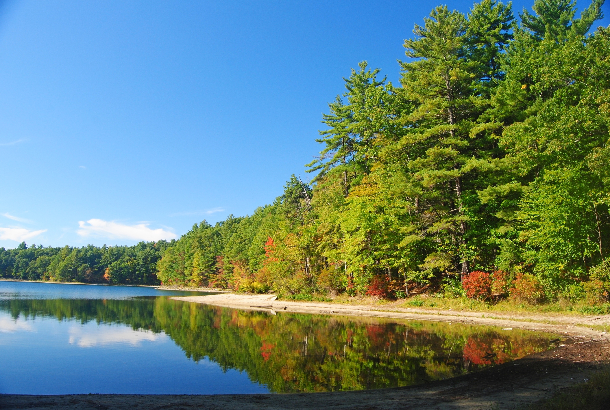 The Walden Pond