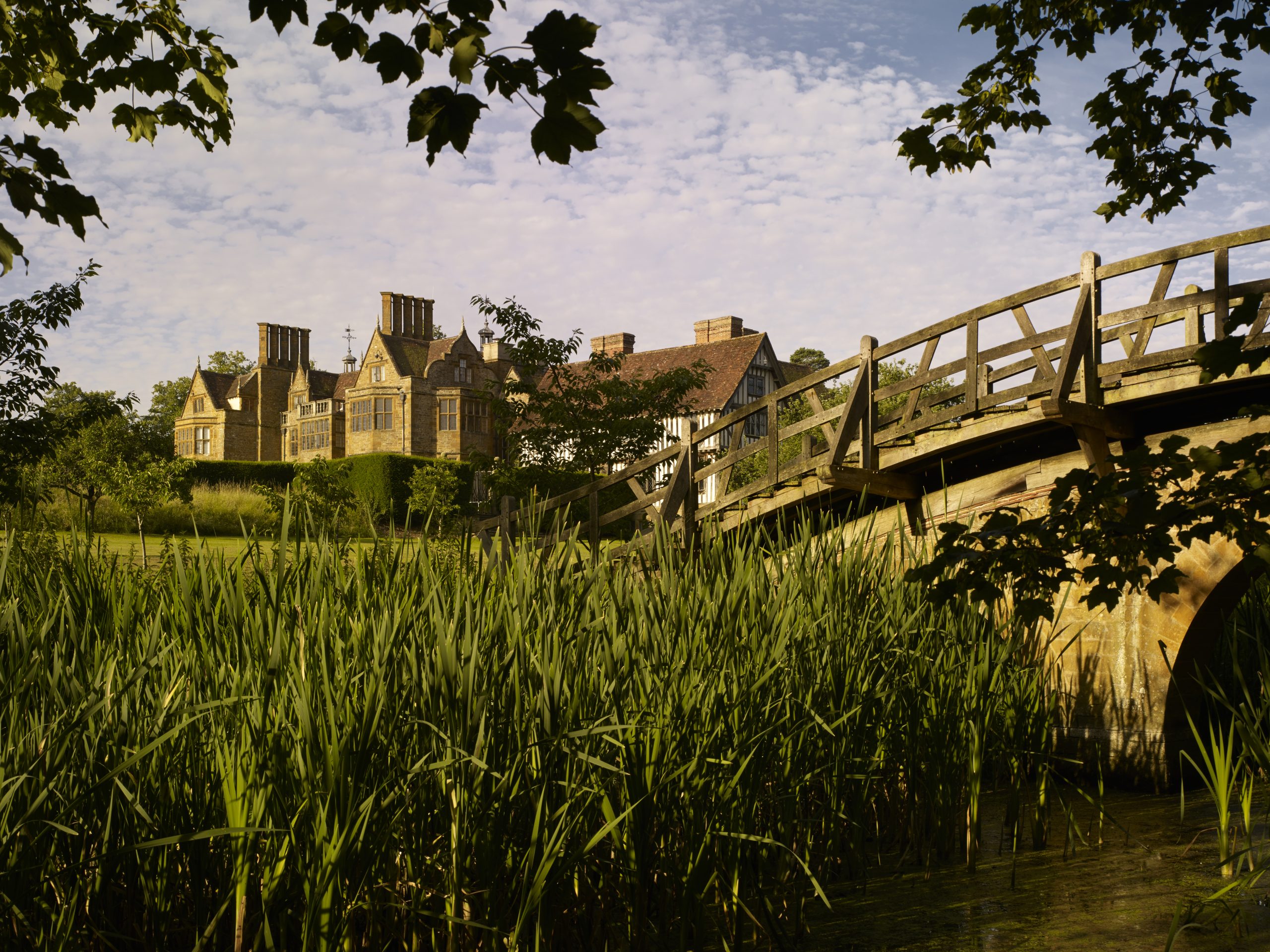 Castle with bridge and beautiful tall grass