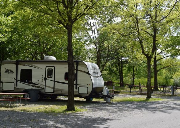 camping site at Cherry Hill Park