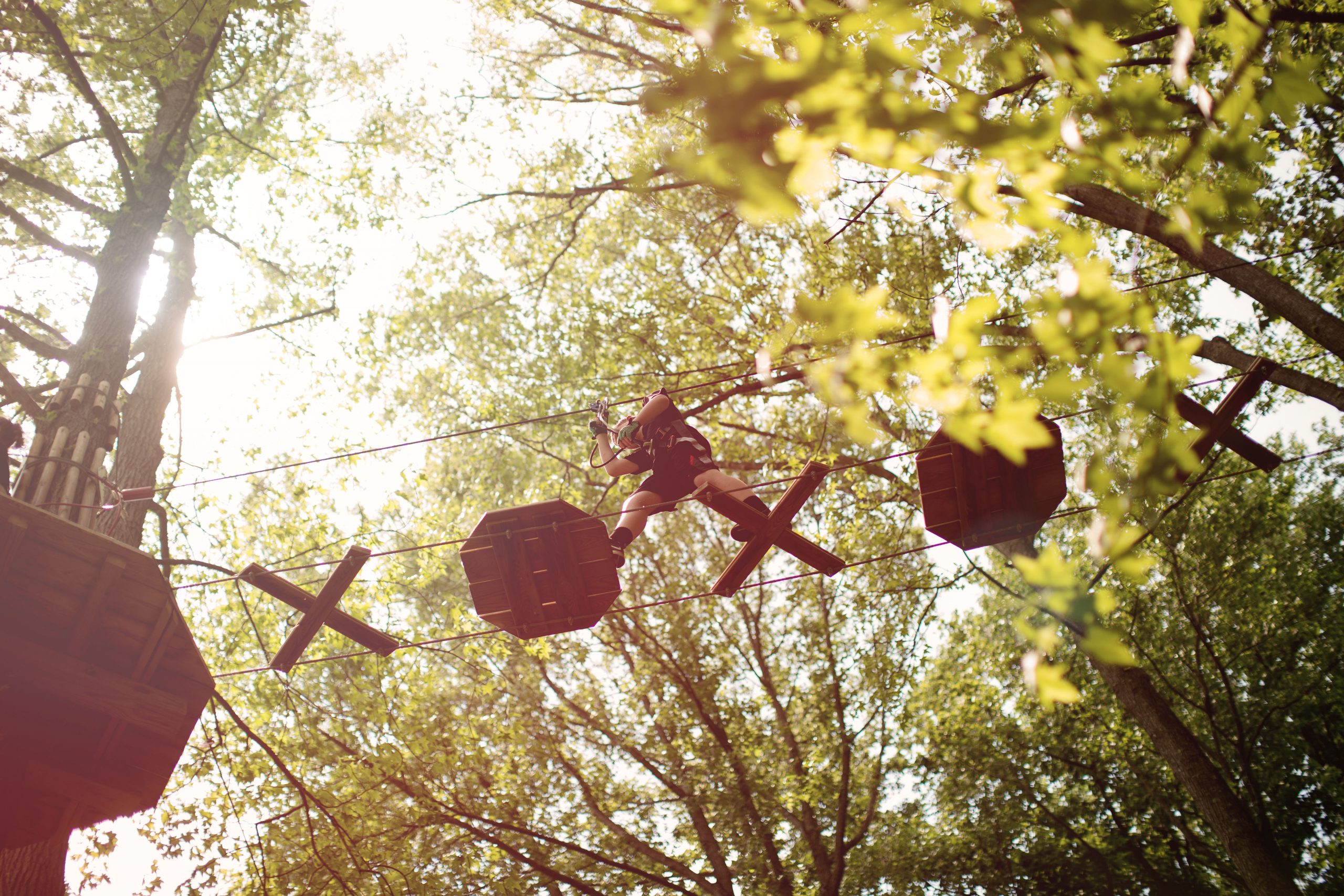 Get high up above the trees at this park