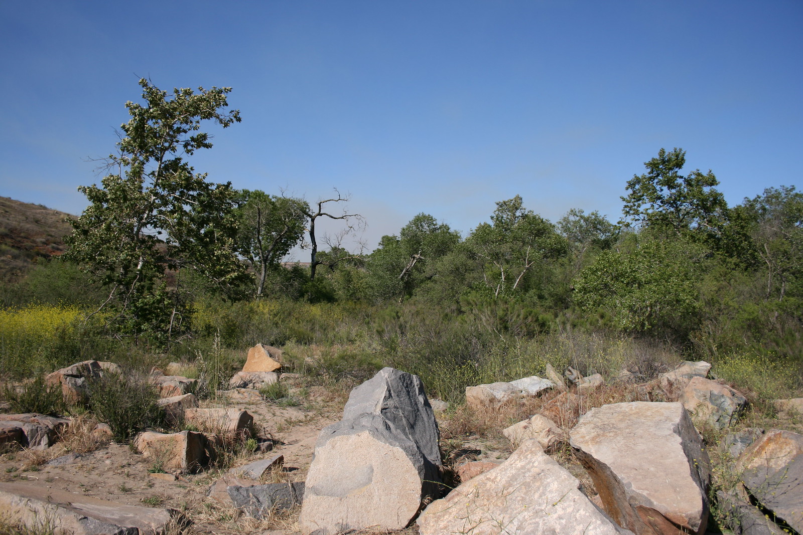 Mission Trails Regional Park