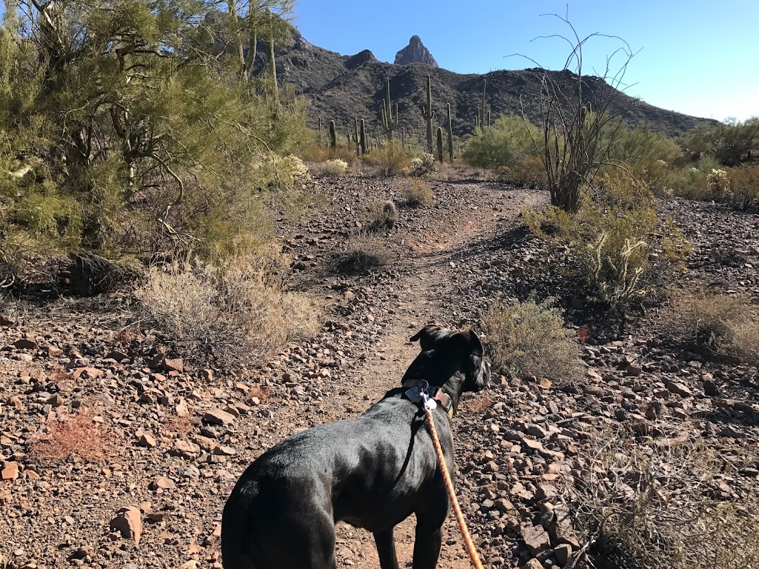 Easily access hiking trails when you camp here