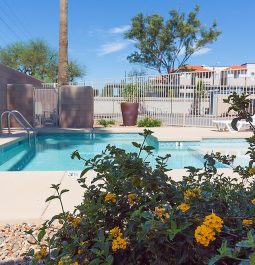 swimming pool at Sentinel Peak RV Park