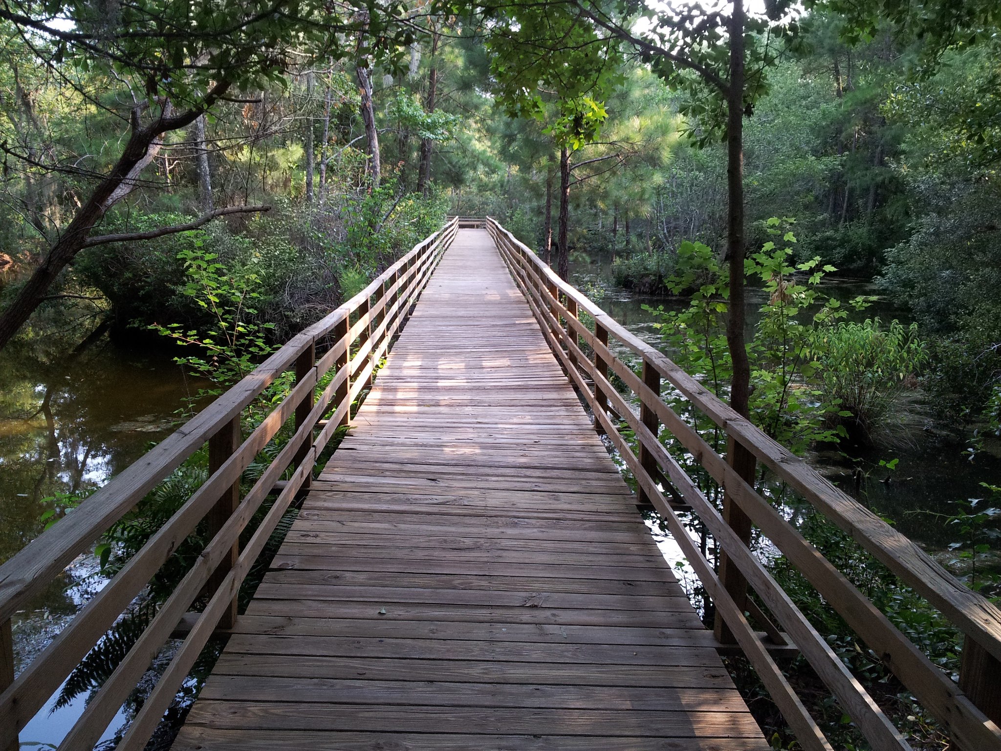 Boardwalk at Tuck in the Woods Campground