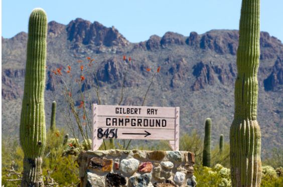 You'll love camping at Tucson Mountain Park