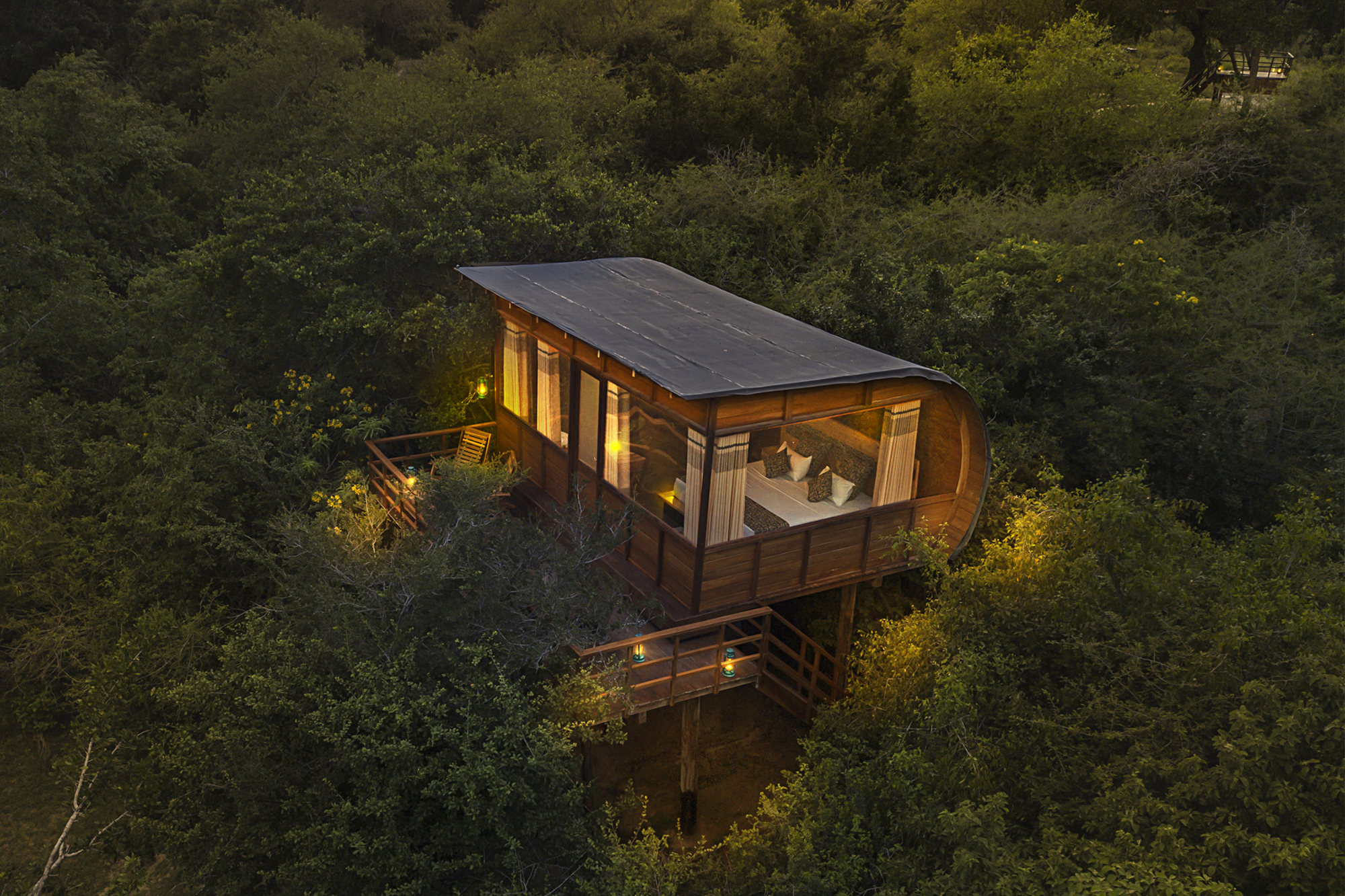 Nature lodge with curved edges in middle of forest