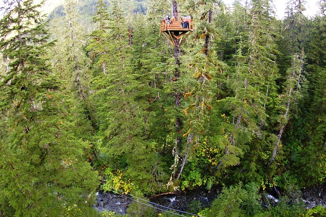 Alpine Zipine Adventure