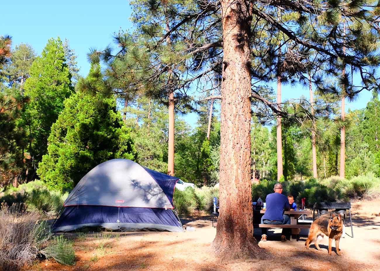 Barton Flats Campground