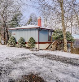 Cabin and yard on snowy day