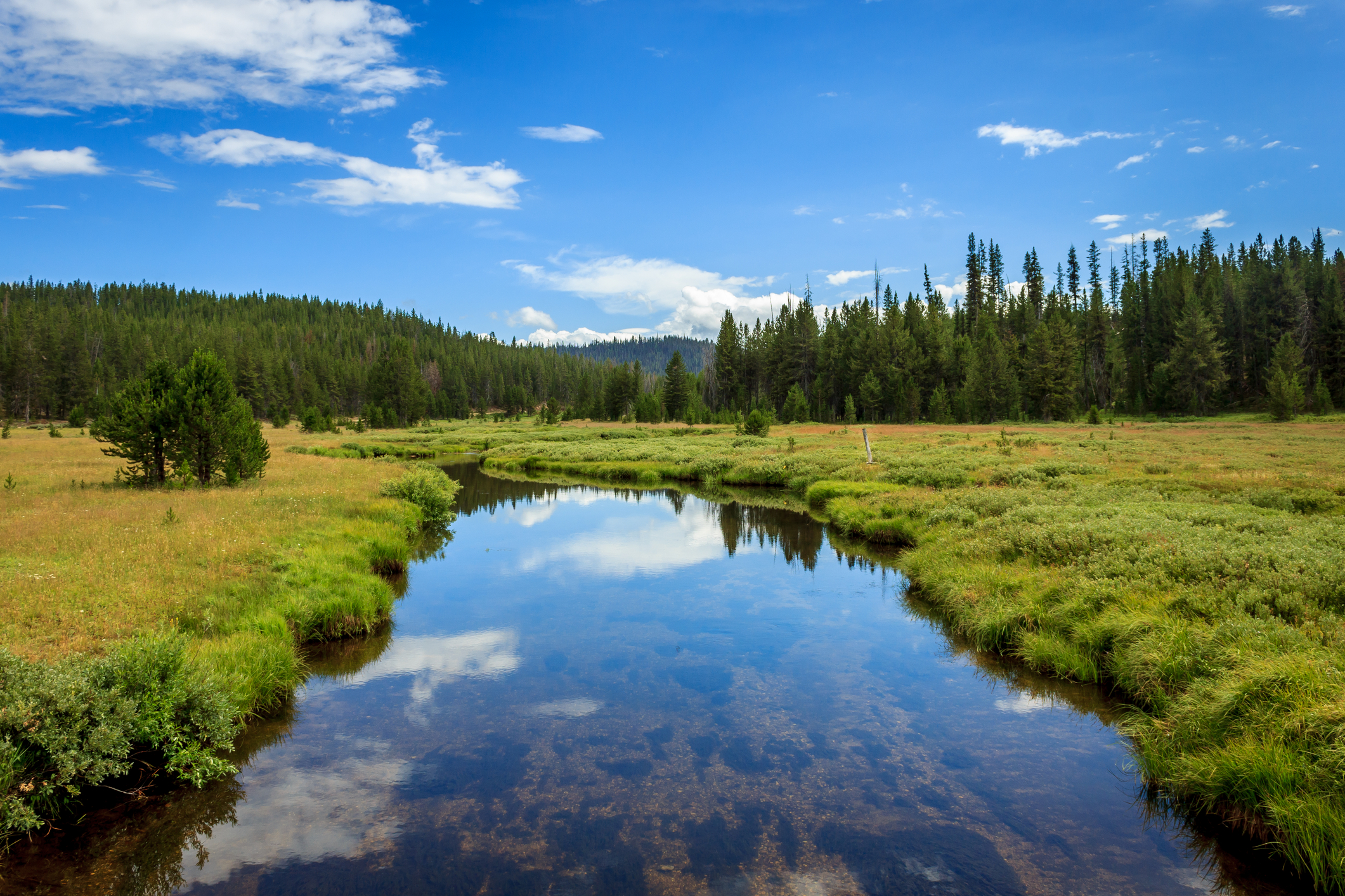 See views like this when you're in the national forest