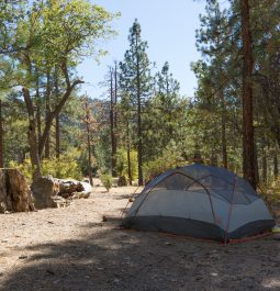 tent in the woods