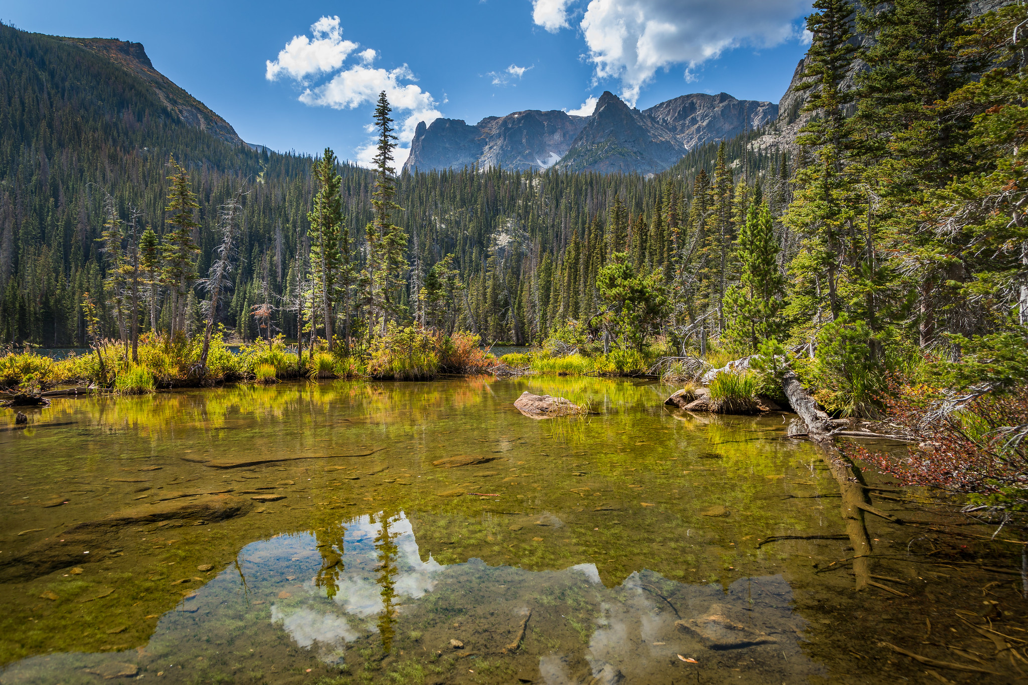 Fern Lake 