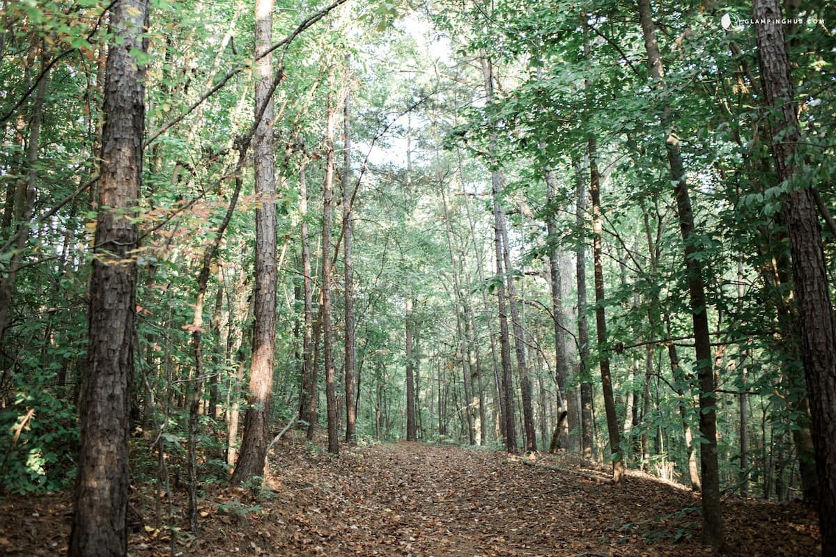 Hiking trail through the woods