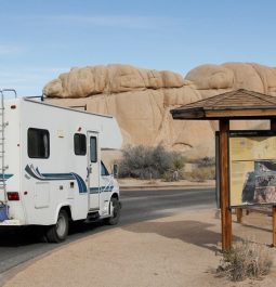 camper at Jumbo Rocks Campground