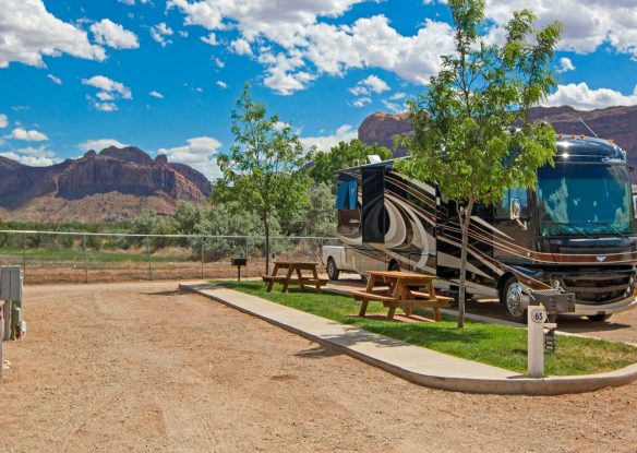 Sunny day at campground with small trees