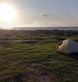 Tent near the beach at sunset