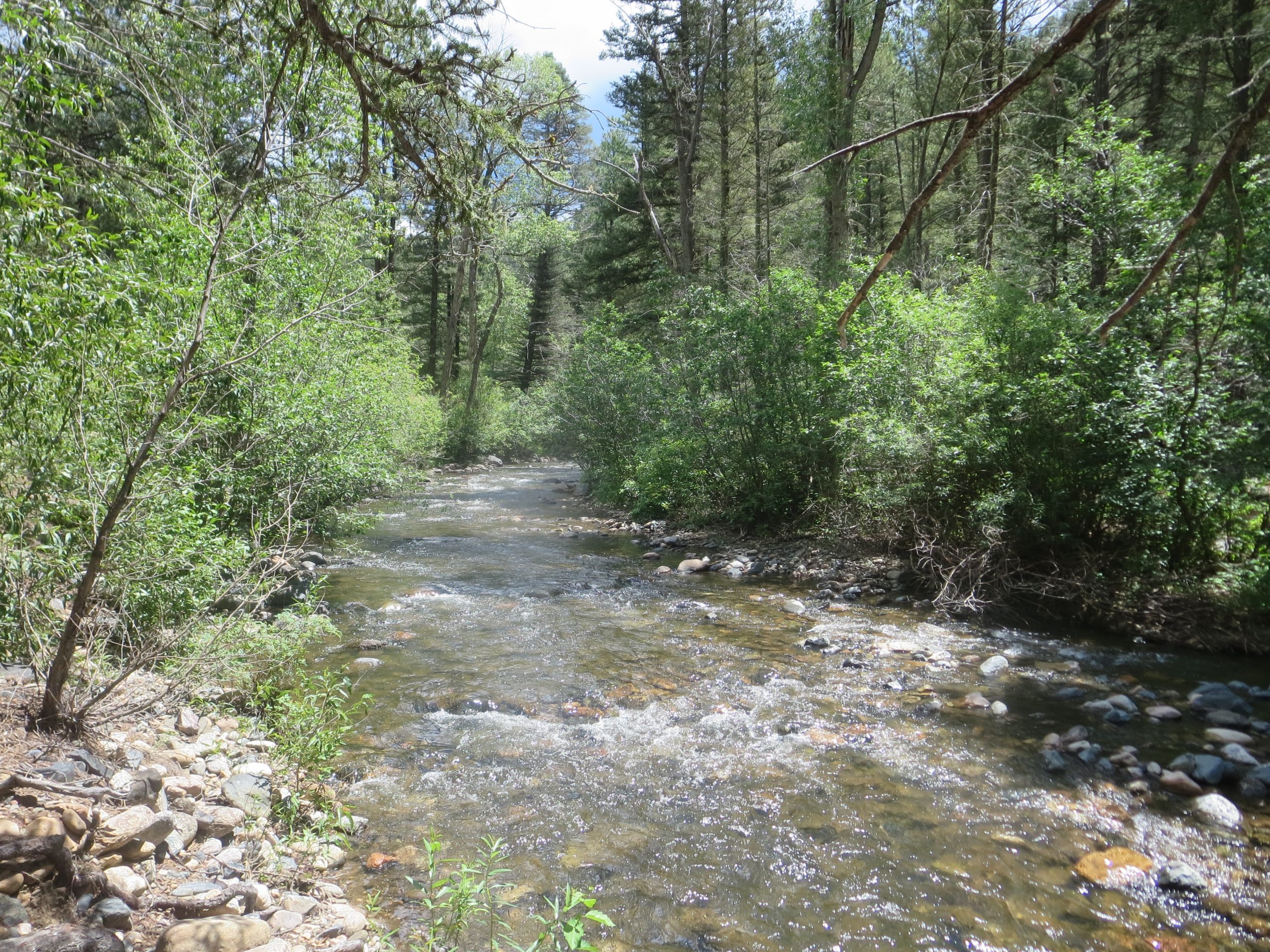 Watch the river flow and your worries melt away