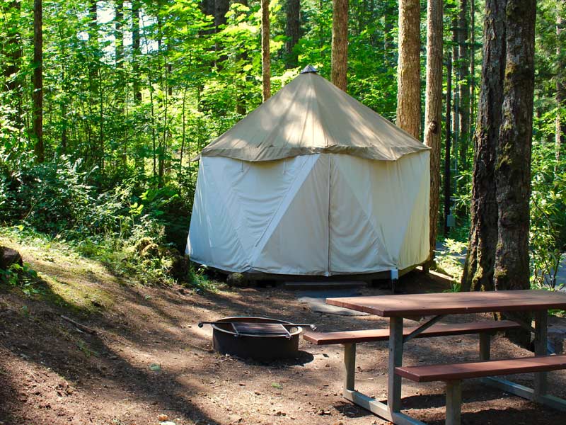 Multiple ways to have a camping experience here