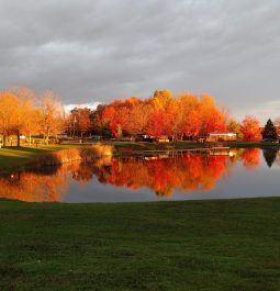 Fall leaves at the campground