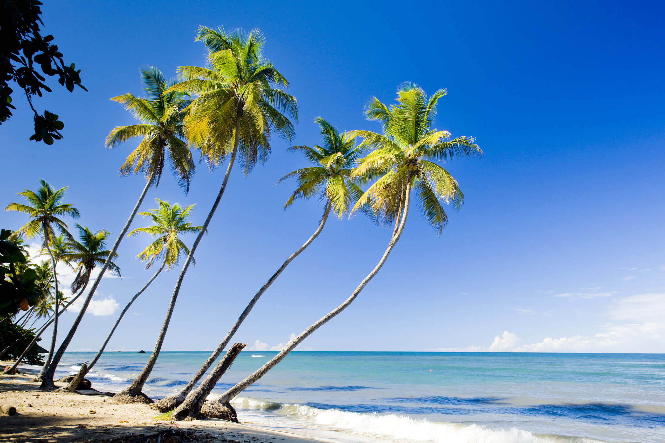 Northern coast of Trinidad