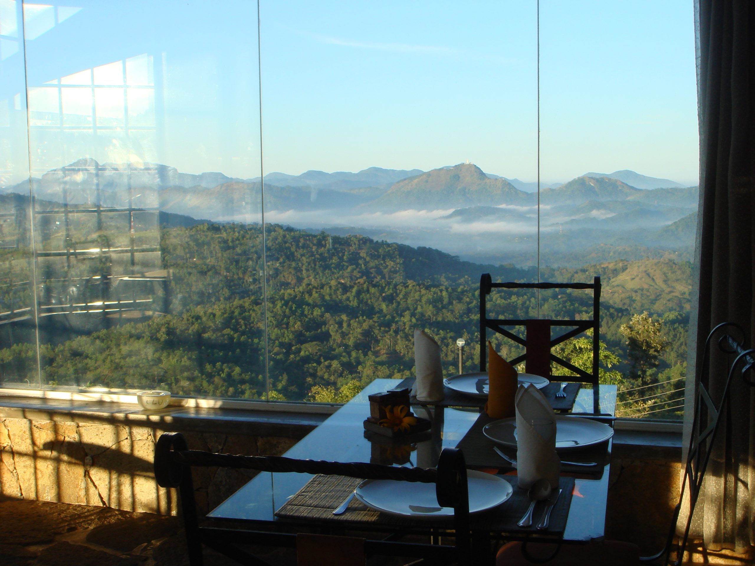 Seating area looking through glass at jungle below