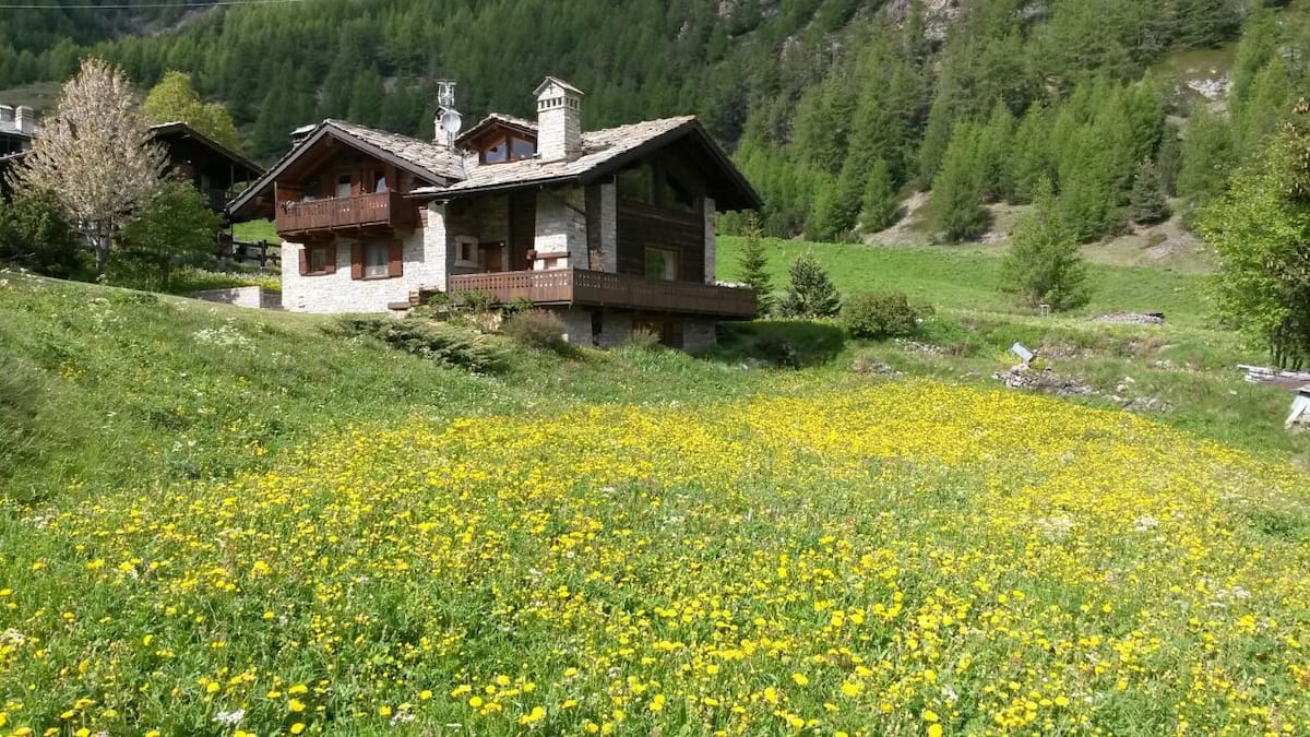 Fiordaliso home in the Alps