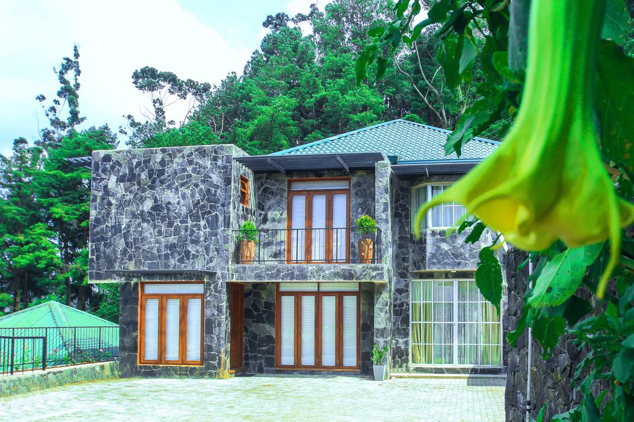 Nature lodge with forest backdrop