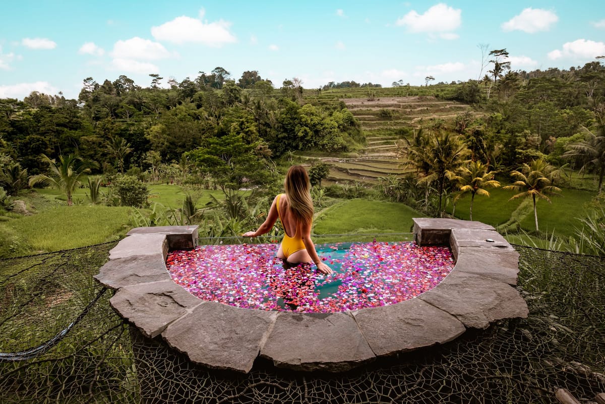 woman standing in rose-filled waters with a lush rice field view