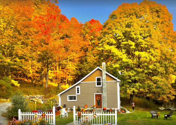 Stunning fall colors on trees behind home