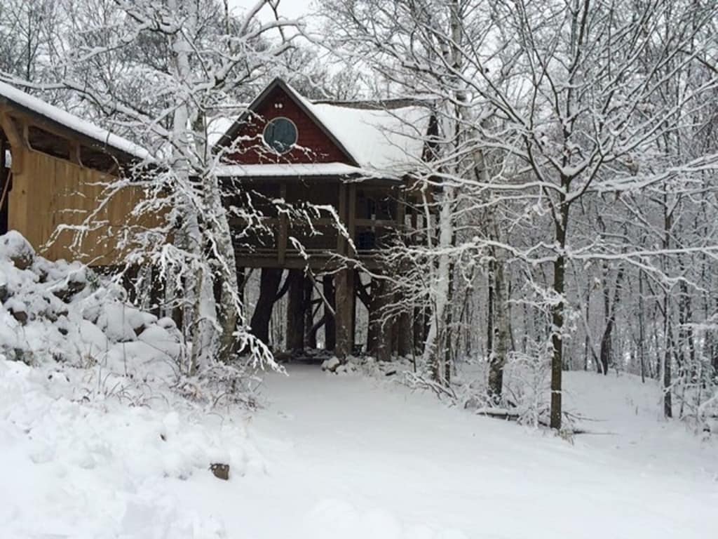 A Four Seasons Tree House With All Amenities Of A Home