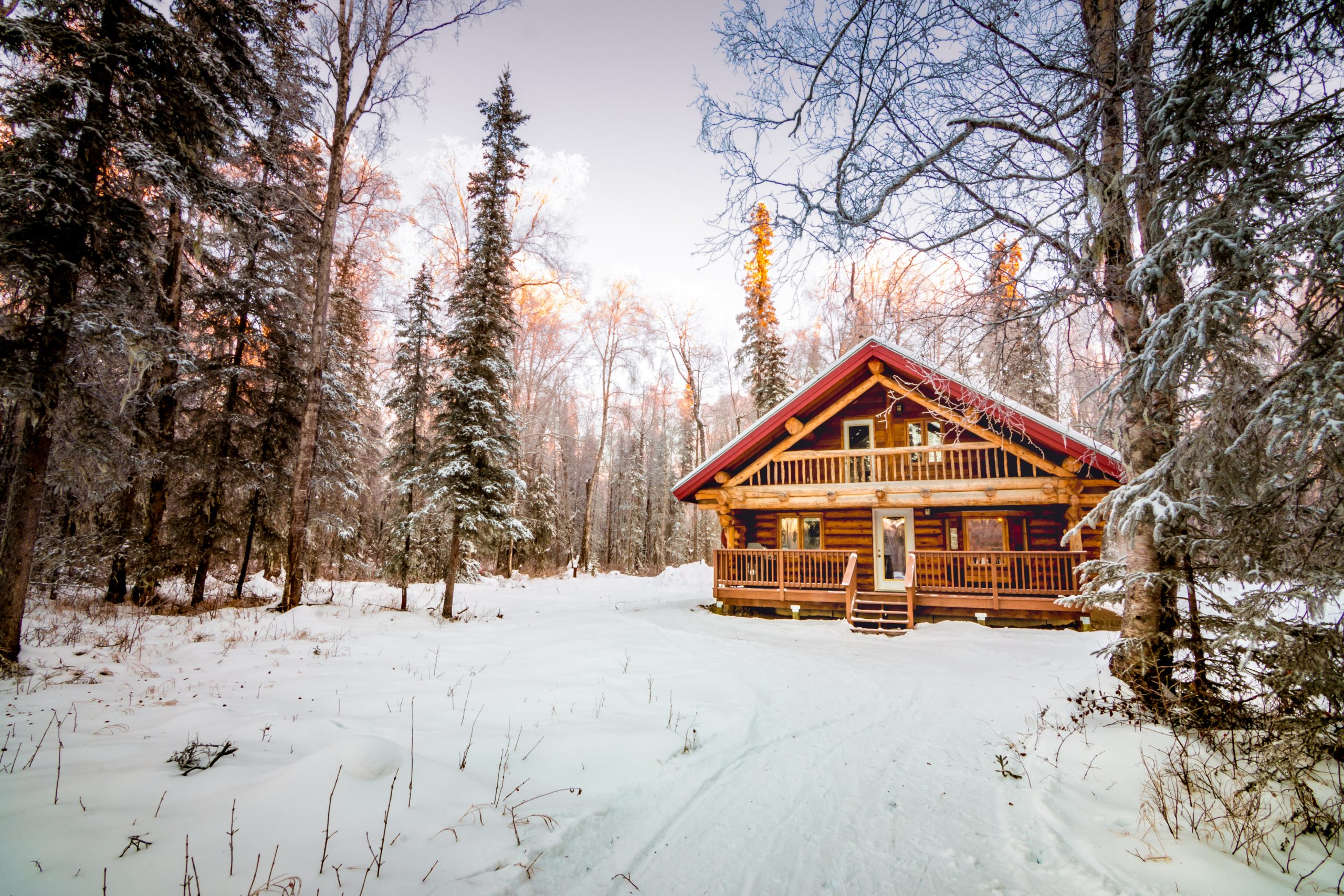 Wooden cottage set in snowy forest