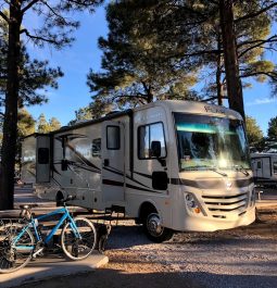 Camper and bike under trees