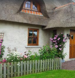 charming thatched Irish cottage with flowers