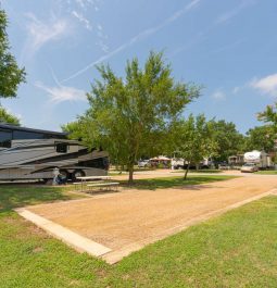 Open campsite with trees around