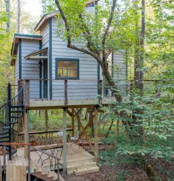 Exterior view of treehouse with stairs