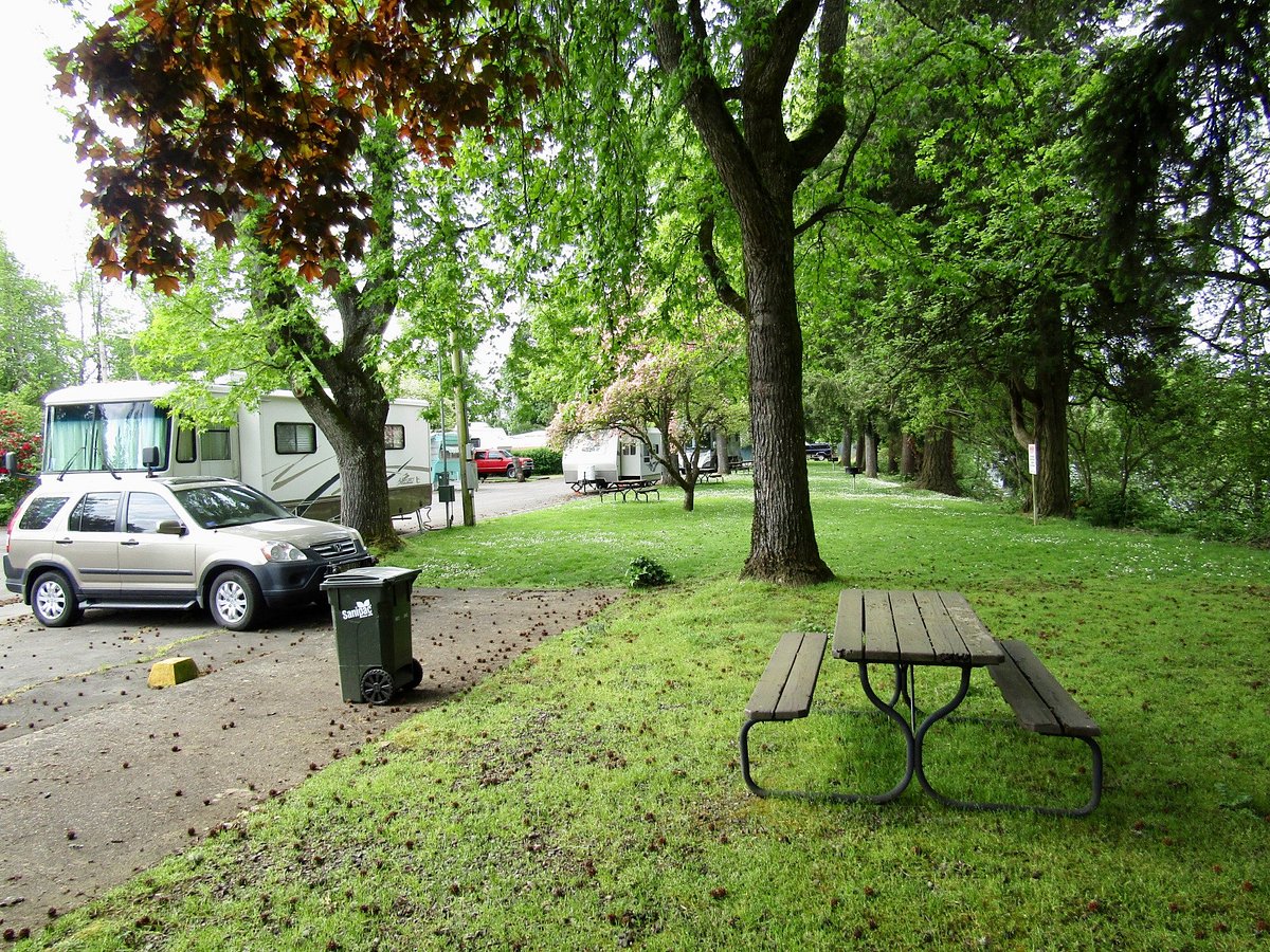 Plenty of greenery for your stay