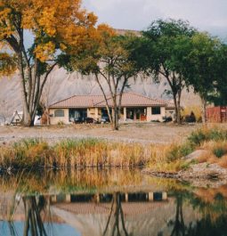 home with pond and fall foliage