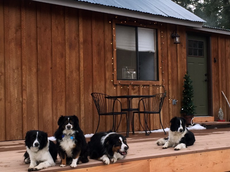 Authentic, Cozy Bunkhouse at Wine Down Ranch