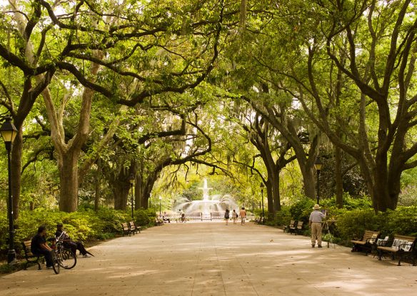 Sidewalk with canopy of large trees with Spanish moss looking at large fountain in Forsyth Park, Savannah GA