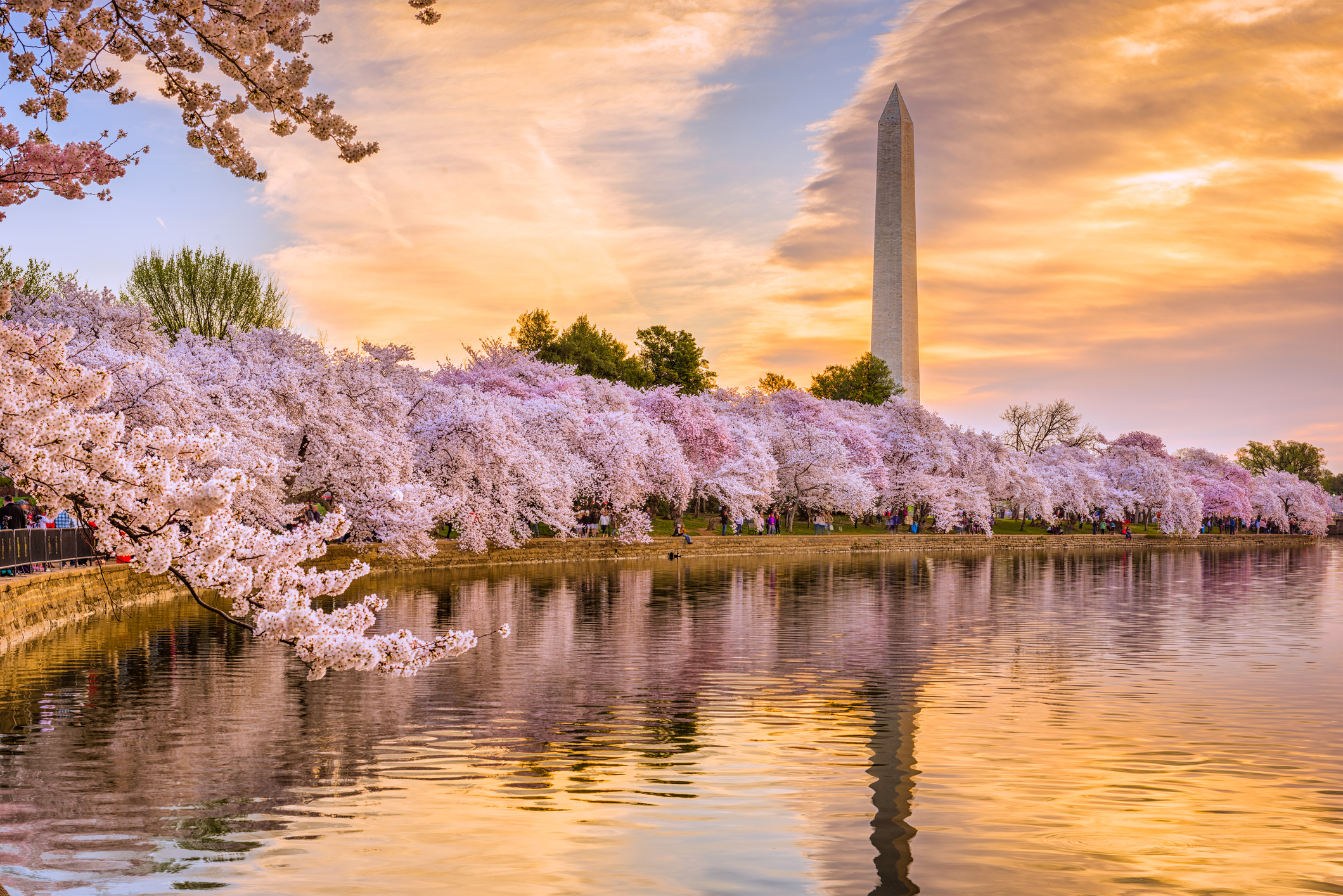 Washington DC in Spring